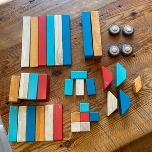 Tegu Magnetic Block set